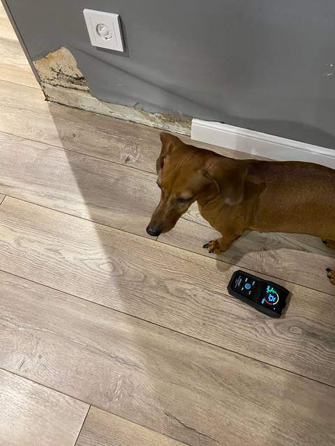 proverla vlajnosti18